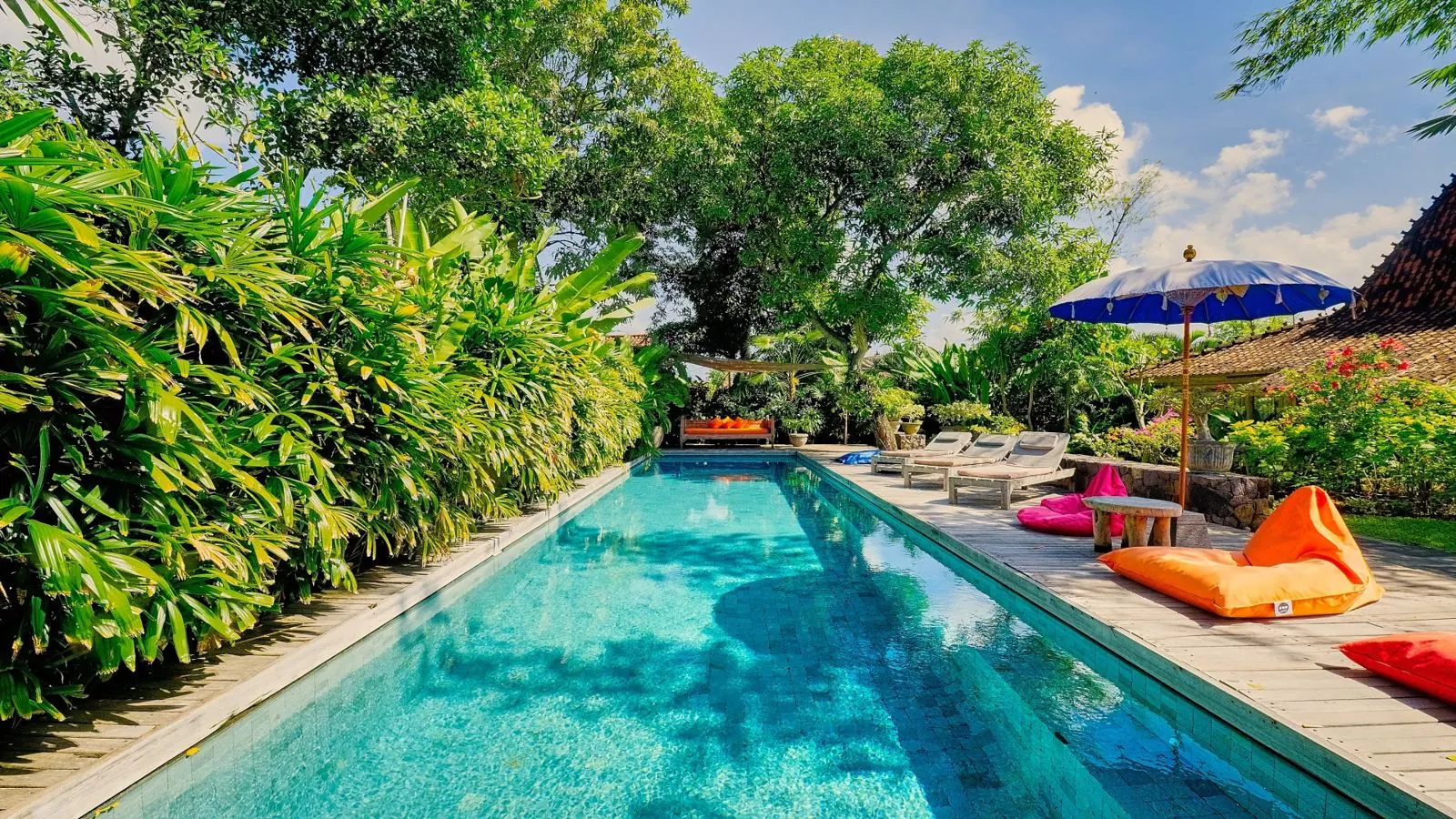 Grande piscine privée bordée de transats et de palmiers